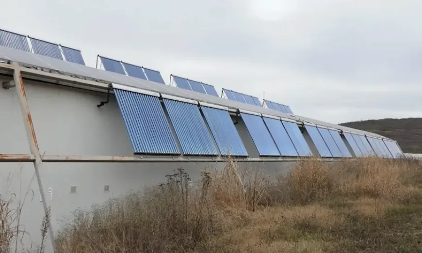 биостопанства