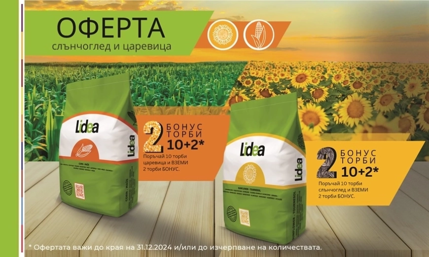 лидеа оферта 2024