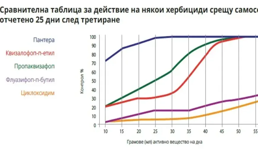 пантера40