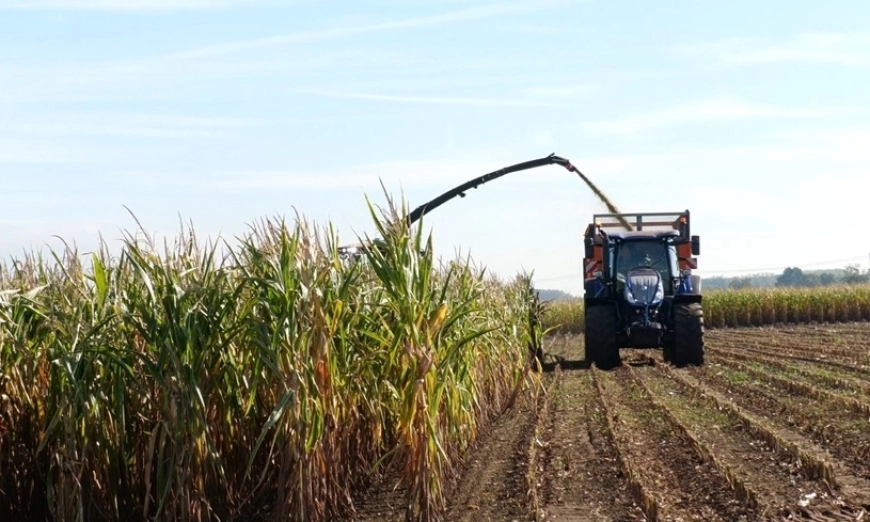new holland zedelgem