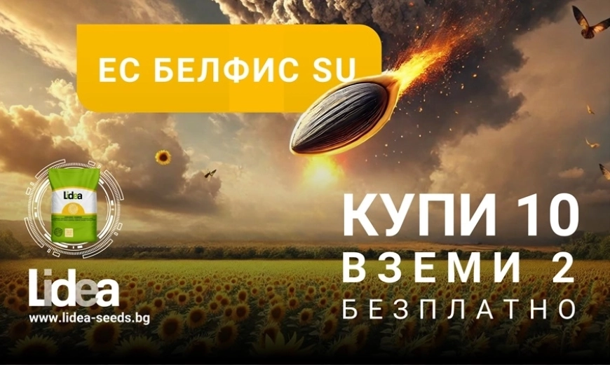 lidea belfis