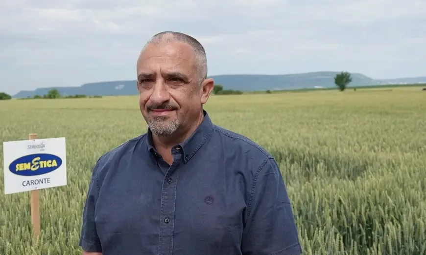 franko-liparini-semetika