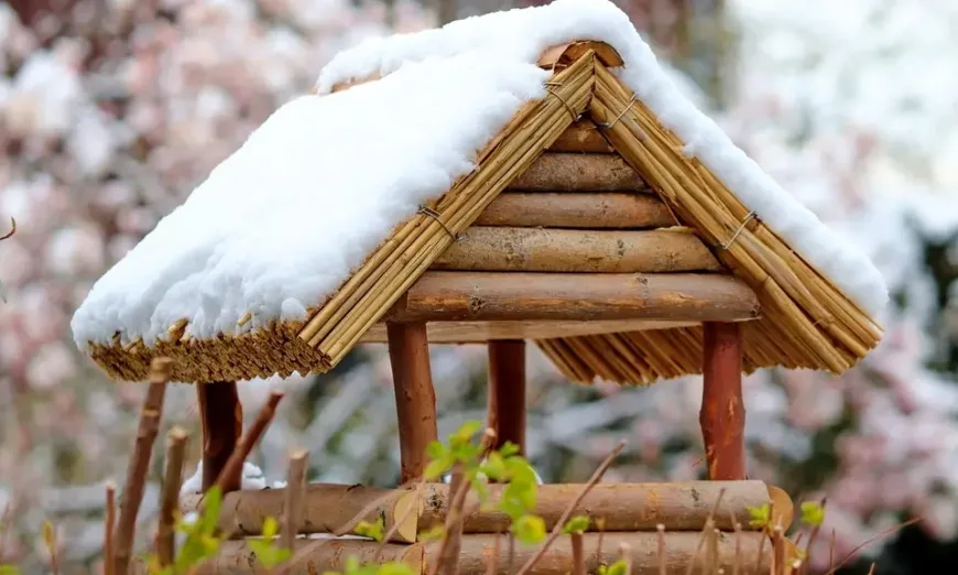 bird house