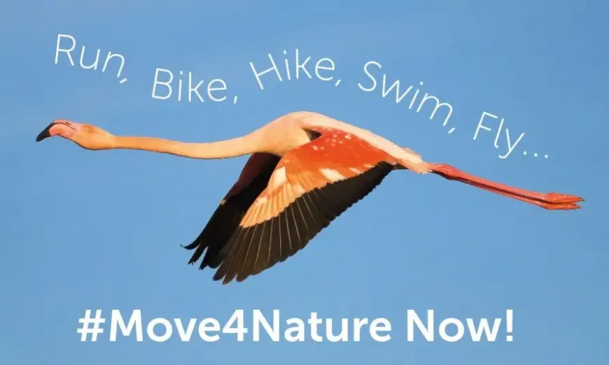 move4nature