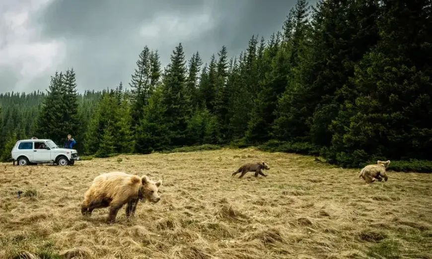 mecheta-osvobojdavane2