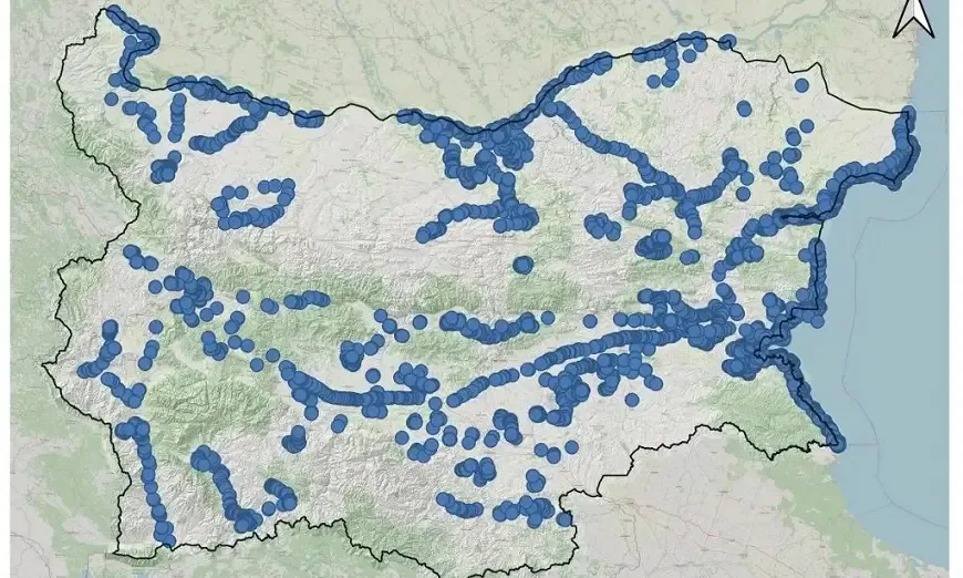 prebroivane-ptici
