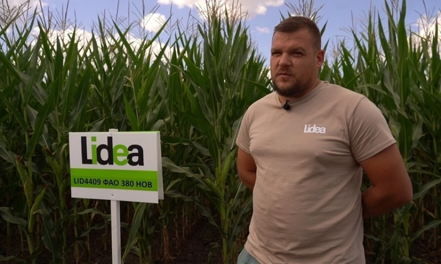 ivan-dechev-lidea