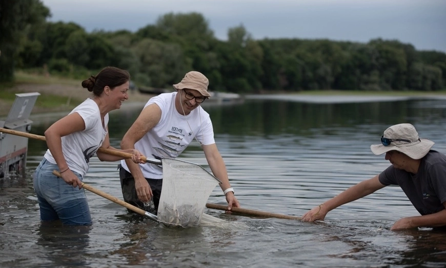 WWF зарибяване в Белене