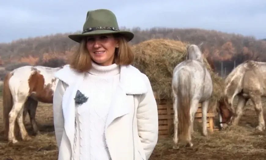 конете на България-94 брой