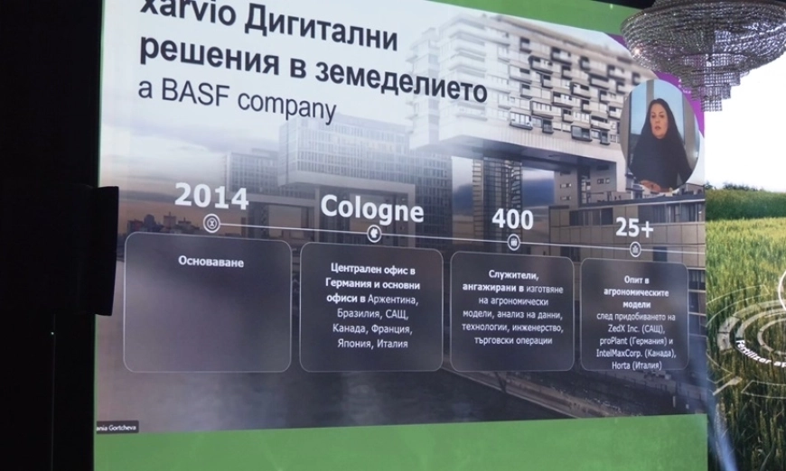 basf