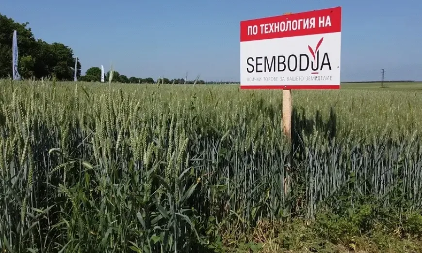 sembodia-torowe