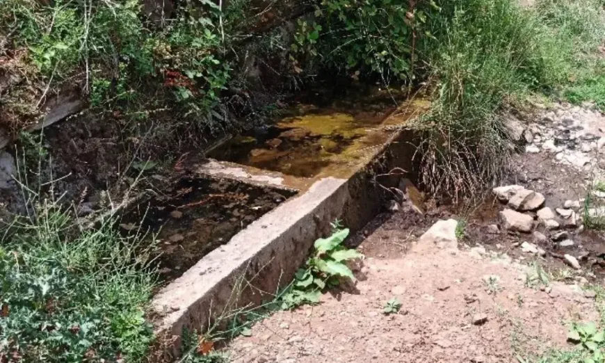 съживи чешма