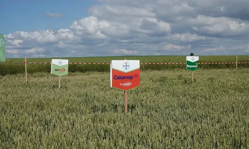 байер-декалб