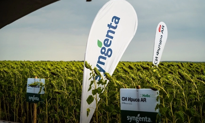 syngenta