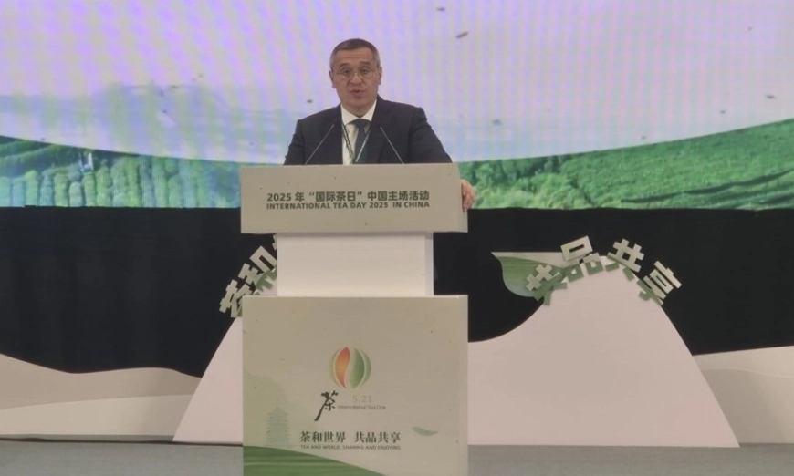 тахов-китай