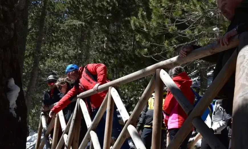 байкушева мура