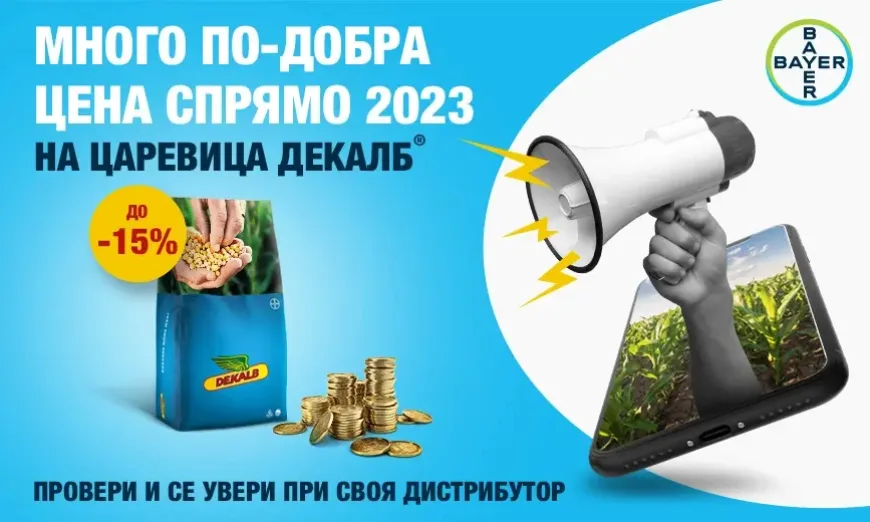 байер Декалб 2023