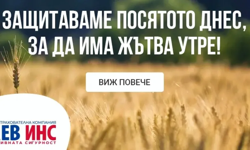 Лев инс 2022 ембед
