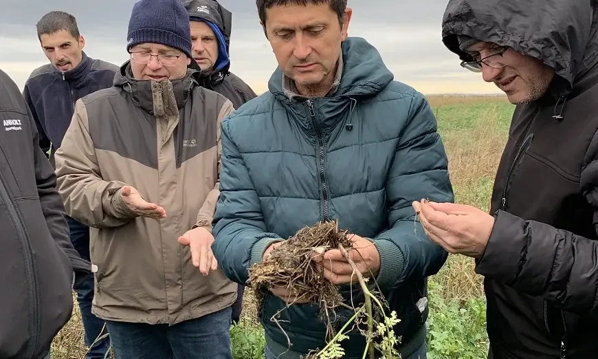 оперативни групи