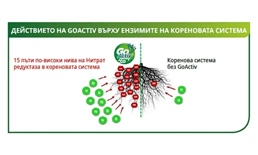 калибра1