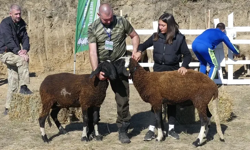 разлог-изложение