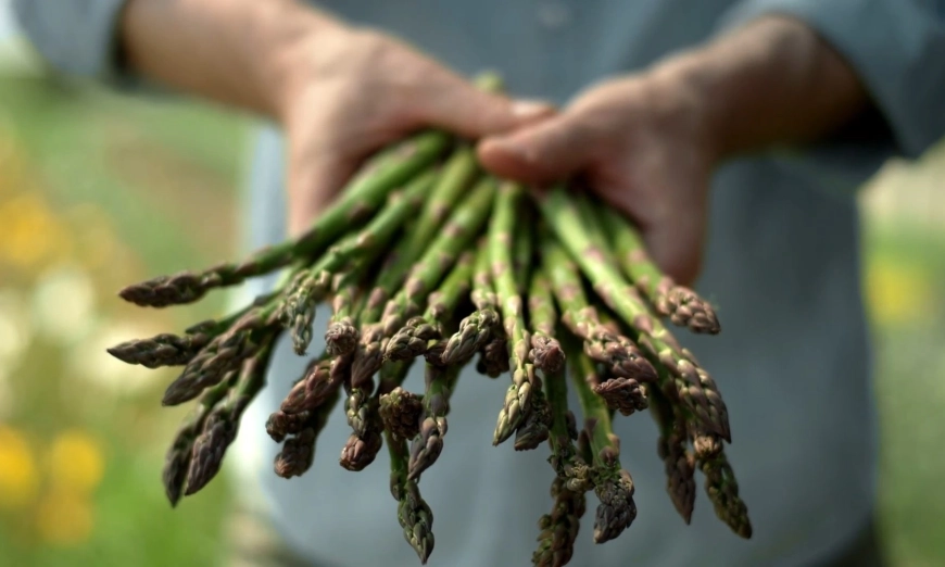 asperji-georgi-binkov