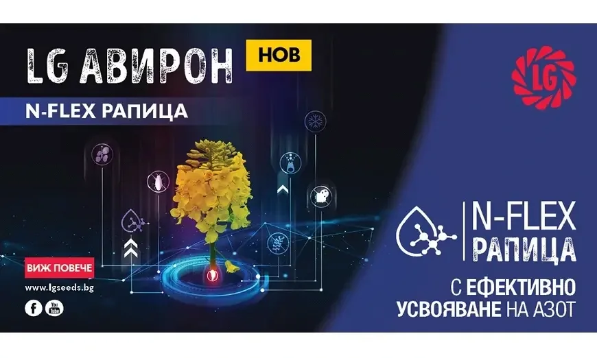 lg-aviron