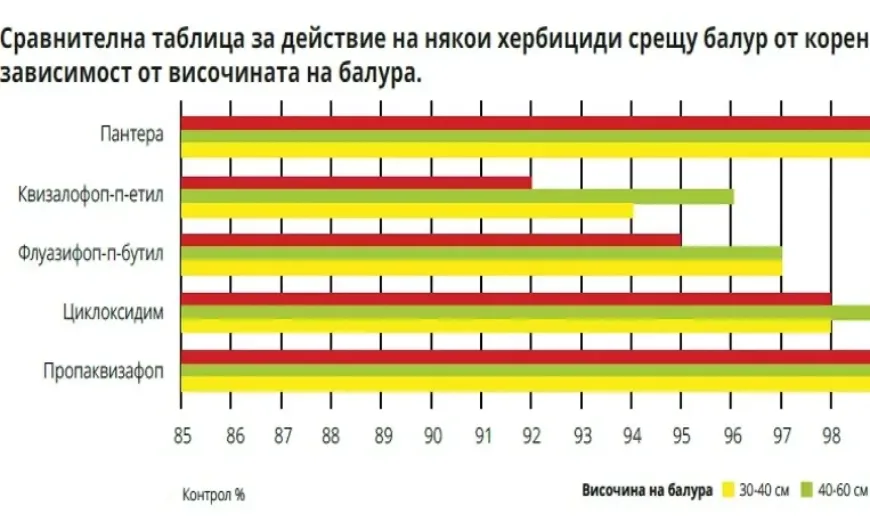 пантера