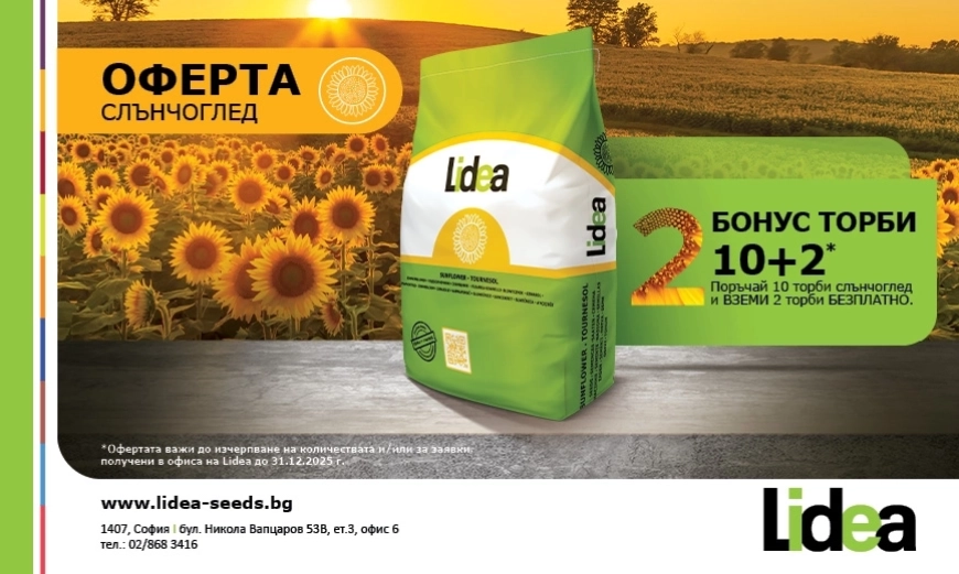 lidea sunflo