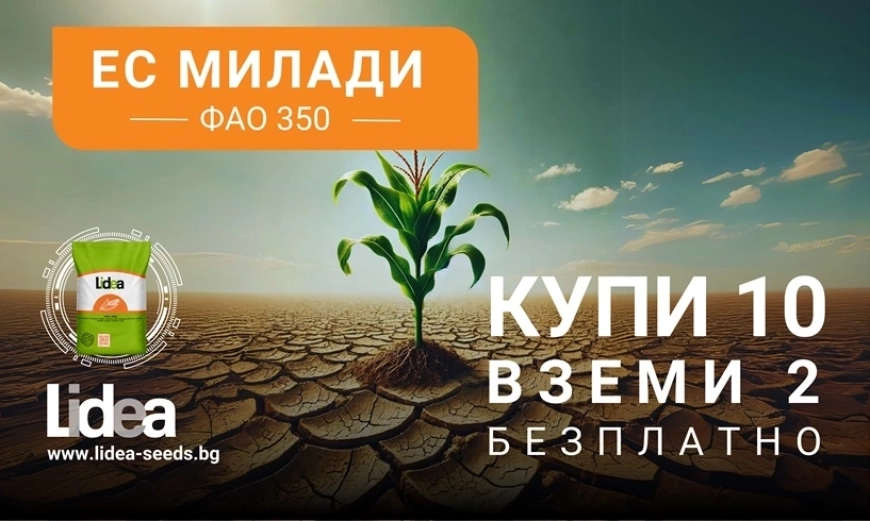 лидеа милади