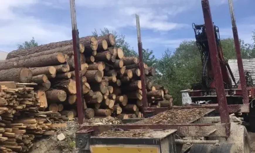 кражба на дървесина