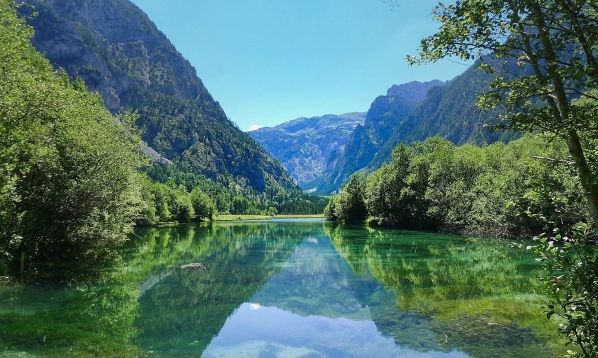 nature