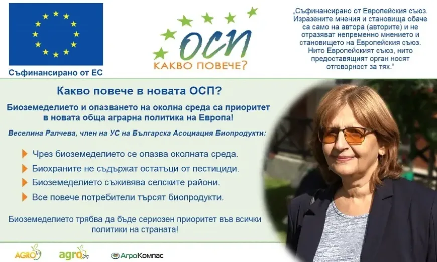 CAP-november-project