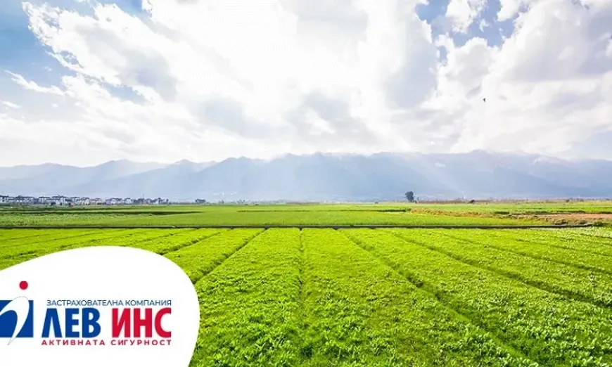 zastrahovane-lev-ins