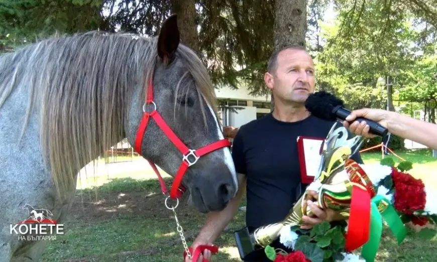 конете на българия1