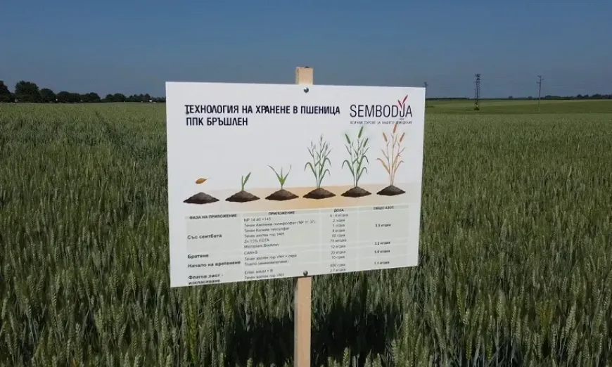 sembodia-tehnologia