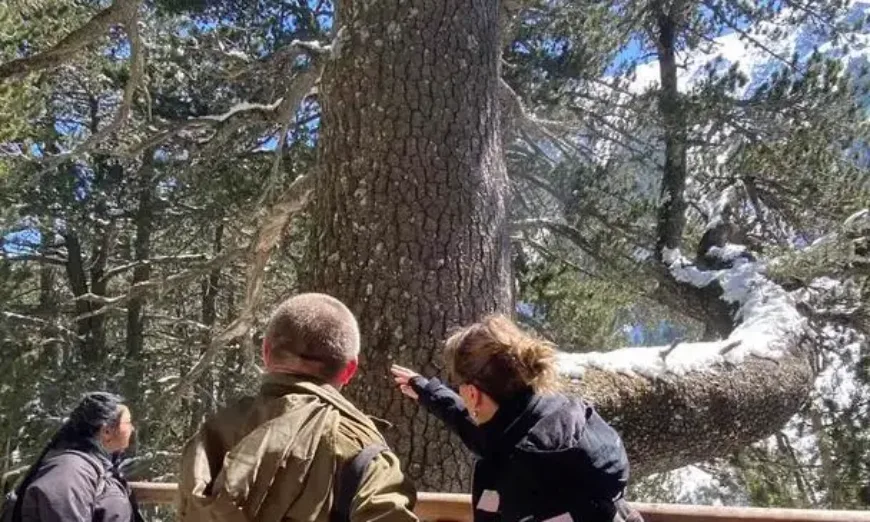 байкушева мура1