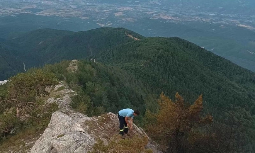 pojar-pirin