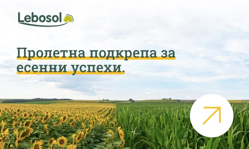 лебозол пролетно хранене