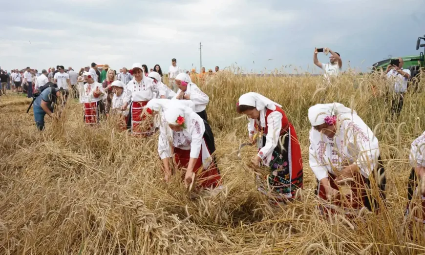 хляб на мира