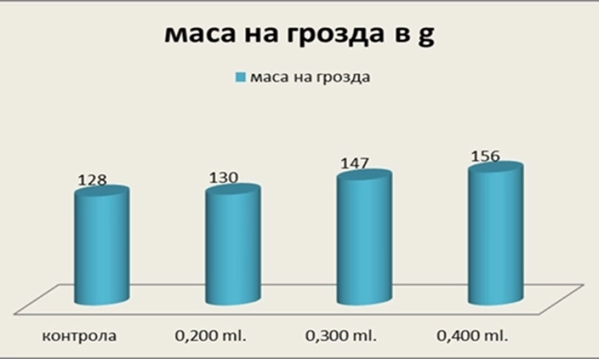 masanagrozda