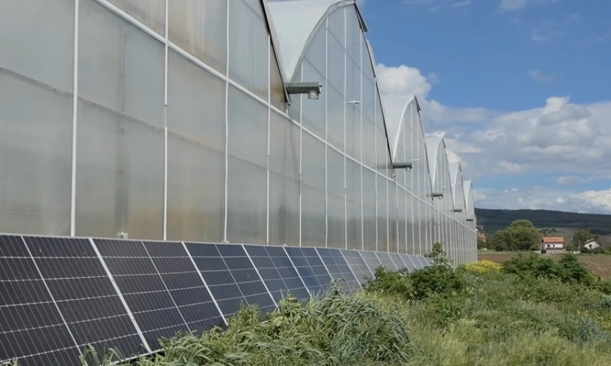 kiril-marzev-greenhouse