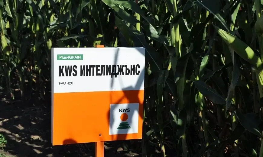 квс-паскалево