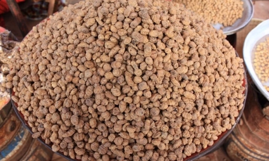 chufa