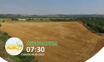В АГРОФОРУМ: Защо зърнопроизводителите трябва да бъдат уважавани
