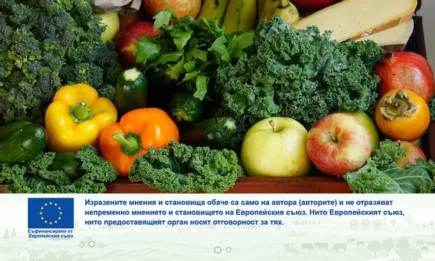 Био-то в Европа – постоянен растеж