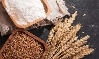 Последна информация за движението на световните пазари на зърнени маслодайни суровини