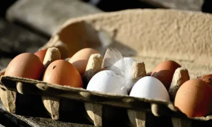 Заради недостиг на яйца Русия премахва вносните мита