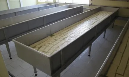 БАБХ обяви, че протоколите от изследването на българските овчи сирена на сдружение