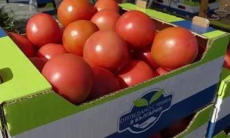 Фестивал на розовия домат зарадва столичани